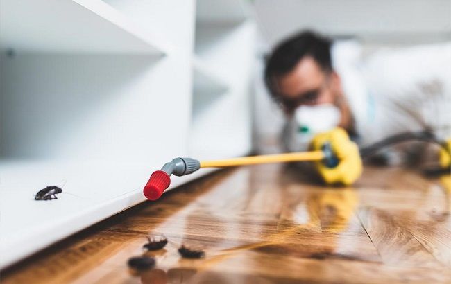 عن شركة سوفت كلين